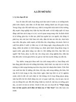 Thực trạng bảo vệ bản quyền sách điện tử hiện nay ở việt nam  tiểu luận cao học