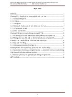 Vận dụng lý thuyết giá trị trong nghiên cứ hệ giá trị truyền thống người Việt