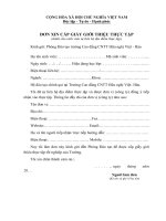 ĐƠN XIN CẤP GIẤY GIỚI THIỆU THỰC TẬP