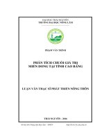 Phân tích chuỗi giá trị miến dong tại tỉnh Cao Bằng (LV thạc sĩ)