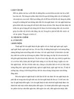 Tiểu luận: độc thoại nội tâm trong ông già và biển cả