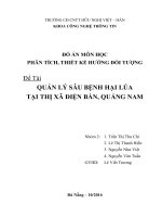 Đồ án phân tích thiết kế hướng đối tượng (UML): QUẢN LÝ SÂU BỆNH HẠI LÚA TẠI THỊ XÃ ĐIỆN BÀN, QUẢNG NAM