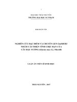 Nghiên cứu đặc điểm và chuyển gen GmDREB2 nhằm cải thiện tính chịu hạn của cây đậu tương (Glycine max (L.) Merrill (LV thạc sĩ)