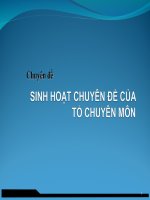 SINH HOẠT CHUYÊN ĐỀ CỦA TỔ CHUYÊN MÔN