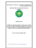 Nghiên cứu khu hệ nấm rễ và đánh giá tác động của việc sử dụng chế phẩm nấm rễ lên năng suất và chất lượng của cây thuốc bạch chỉ (angelica dahurica (fisch  ex hoffm ) benth et hook  f ) 