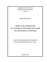 Chiến lược kinh doanh của tập đoàn viễn thông quân đội tại thị trường campuchia 