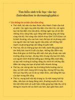 Bài tập phát triển khả năng tiềm ẩn với sinh trắc vân tay