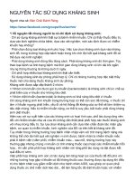 Nguyên tắc sử dụng kháng sinh trong nha khoa