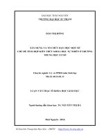 Xây dựng và tổ chức dạy học một số chủ đề tích hợp kiến thức khoa học tự nhiên ở trường trung học cơ sở 