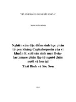 Nghiên cứu đặc điểm sinh học phân tử gen kháng Cephalosporin của vi khuẩn E. coli sản sinh men Betalactamase phân lập từ người chăn nuôi và lợn tại Thái Bình và Sóc Sơn (LV thạc sĩ)
