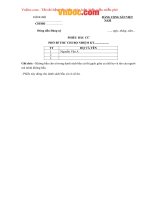 Mẫu phiếu bầu cử phó bí thư chi bộ 