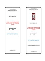 CÁC NHÂN TỐ ẢNH HƯỞNG ĐẾN QUYẾT ĐỊNH MUA HÀNG ĐIỆN TRỰC TUYẾN TẠI THÀNH PHỐ HỒ CHÍ MINH
