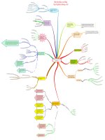 7 chiến lược thịnh vượng và hạnh phúc