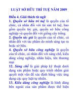 LUAT SO HUU TRI TUE sua doi 2009