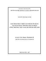 Giải pháp phát triển sản phẩm tín dụng tại Ngân hàng thương mại cổ phần Công thương Việt Nam chi nhánhTiên Sơn (LV thạc sĩ)