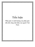 Tiểu luận phật giáo và ảnh hưởng của phật giáo đến đời sống tinh thần của người việt nam