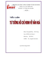 Tiểu luận tư tưởng hồ chí MInh về văn hóa