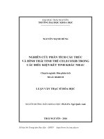 Nghiên cứu phân tích cấu trúc và hình thái tinh thể celecoxib trong các điều kiện kết tinh khác nhau (LV thạc sĩ)