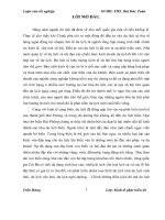 Giải pháp phát triển bền vững du lịch biển tỉnh Hải Phòng