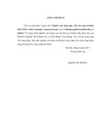 Nghiên cứu tổng hợp, cấu trúc một số phức chất Pt(II) chứa isopropyl eugenoxyaxetat và 1,3 diisopropylbenzimidazoline 2 ylidene 