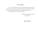 Phát triển đội ngũ giáo viên nòng cốt trong các trường tiểu học trên địa bàn huyện đan phượng thành phố hà nội 