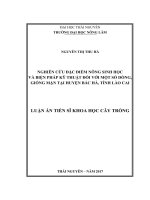 Nghiên cứu đặc điểm nông sinh học và biện pháp kỹ thuật đối với một số dòng, giống mận tại huyện Bắc Hà, tỉnh Lào Cai (LA tiến sĩ)