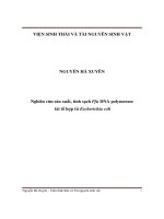 Nghiên cứu sản xuất, tinh sạch Pfu DNA polymerase tái tổ hợp từ Escherichia coli (LV thạc sĩ)
