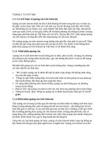 Cơ sở lý luận về Quảng Cáo trên Internet