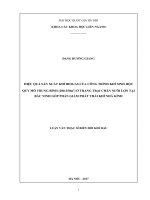 Hiệu quả sản xuất khí biogas của công trình khí sinh học quy mô trung bình (200 250m3) ở trang trại chăn nuôi lợn tại bắc ninh góp phần vào giảm phát thải khí nhà kính 