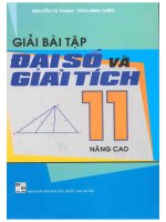 Giải bài tập đại số và giải tích 11 nâng cao phần 1 