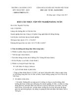 BÁO CÁO THỰC TẬP TỐT NGHIỆP HÀNG TUẦN