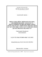Định lượng đồng thời paracetamol, Chlorpheniramine maleate và Phenylephrine hydrochloride trong thuốc Decolgen forte bằng phương pháp sắc ký lỏng hiệu năng cao và phương pháp quang phổ hấp thụ phân tử (LV thạc sĩ)
