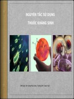 Những vấn đề liên quan tới sử dụng kháng sinh