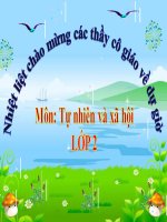 Tự nhiên xã hội lớp 2 : Loài vật sống ở đâu? ( bài 27)