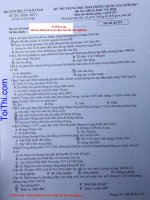 Đề thi môn Lịch Sử THPT Quốc Gia 2017