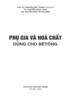 Phụ gia và hóa chất dùng trong bê tông   PGS TS nguyễn viết trung 