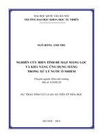 NGHIÊN cứu BIẾN TÍNH bề mặt MÀNG lọc và KHẢ NĂNG ỨNG DỤNG MÀNG TRONG xử lý nước ô NHIỄM 