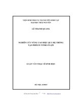 Nghiên cứu nâng cao hiệu quả hệ thống tạo phôi in vitro ở lợn (LV thạc sĩ)