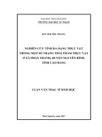 Nghiên cứu tính đa dạng thực vật trong một số trạng thái thảm thực vật ở xã Phan Thanh, huyện Nguyên Bình, tỉnh Cao Bằng (LV thạc sĩ)
