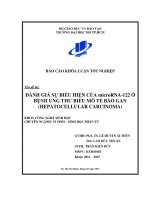 Đánh giá sự biểu hiện của MicroRNA 122 ở bệnh ung thư biểu mô tế bào gan (hepatocellular carcinoma) 