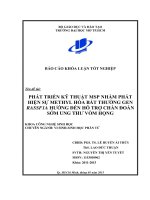 Phát triển kỹ thuật MSP nhằm phát hiện methyl hóa bất thường gen rassf1a hướng đến hỗ trợ chẩn đoán ung thư vòm họng 