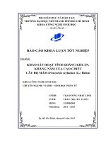 Khảo sát hoạt tính kháng khuẩn, kháng nấm của cao chiết cây bọ mắm (pouzolzia zeylanica (l ) benn)  