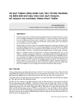 VỀ QUY TRÌNH LỒNG GHÉP CÁC YẾU TỐ MÔI TRƯỜNG VÀ BIẾN ĐỔI KHÍ HẬU VÀO CÁC QUY HOẠCH, KẾ HOẠCH VÀ CHƯƠNG TRÌNH PHÁT TRIỂN