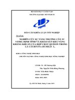 Nghiên cứu sự tăng trưởng của cây IN VITRO định tính và khảo sát khả năng kháng khuẩn của hợp chất QUINON trong lá cây RIVINA HUMILIS l 