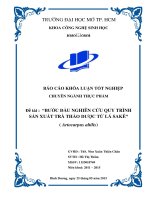 Bước đầu nghiên cứu quy trình sản xuất trà thảo dược từ lá sakê (artocarpus altilis)  