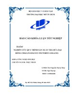 Nghiên cứu quy trình sản xuất trà dứa dại (pandanus tectorius soland) đóng chai  