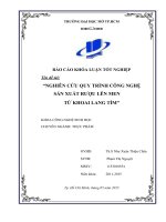 Nghiên cứu quy trình công nghệ sản xuất rượu lên men từ khoai lang tím 