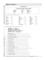Grammar practices 10 sample worksheets 