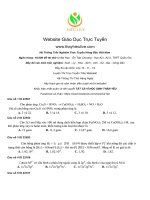 Đề số 3đề thi 