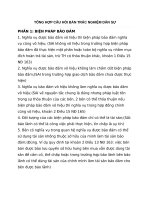 TỔNG hợp câu hỏi bán TRẮC NGHIỆM luật dân sự 